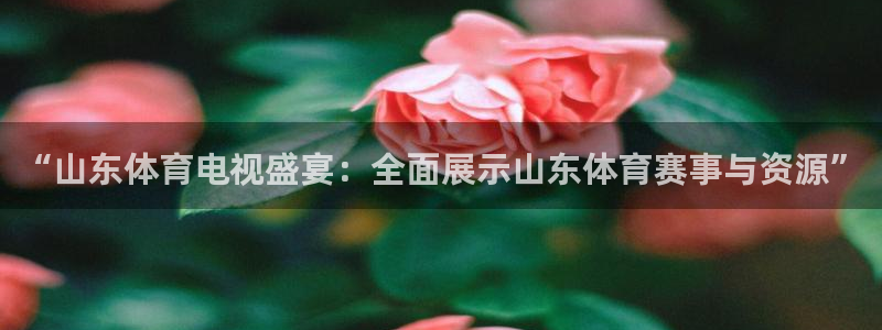 “山东体育电视盛宴：全面展示山东体育赛事与资源”