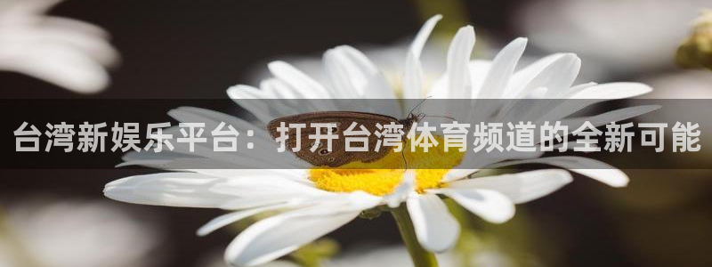 台湾新娱乐平台：打开台湾体育频道的全新可能