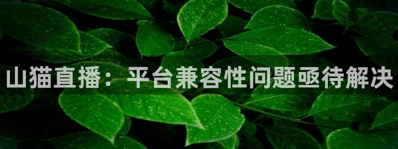 新闻图片