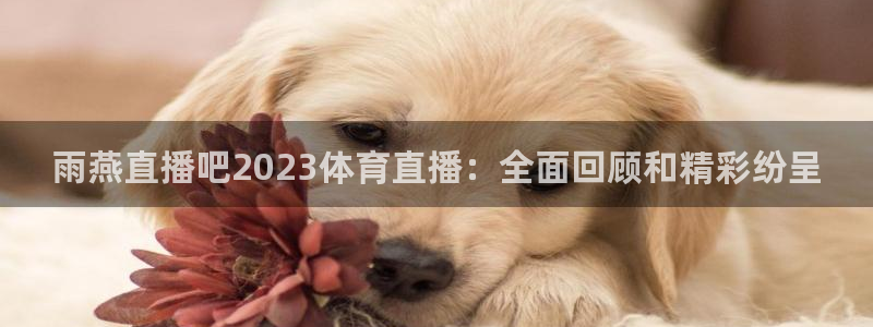 雨燕直播吧2023体育直播：全面回顾和精彩纷呈