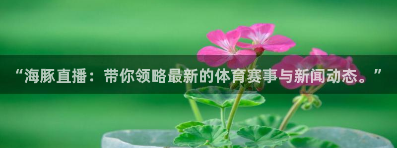 新闻图片