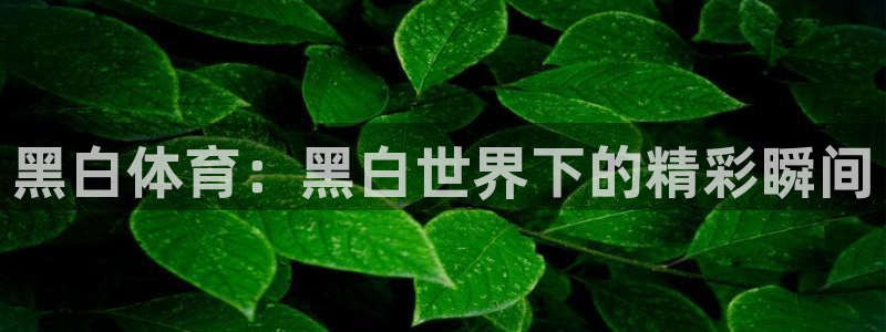 新闻图片