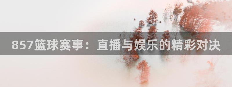 857篮球赛事：直播与娱乐的精彩对决